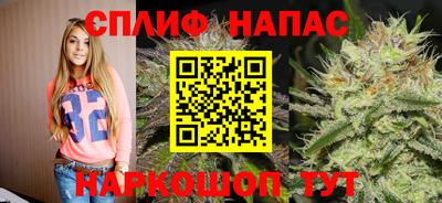 индика Пыть-Ях