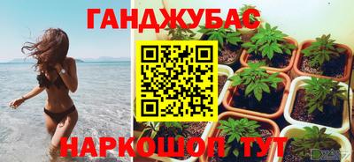 индика Пыть-Ях