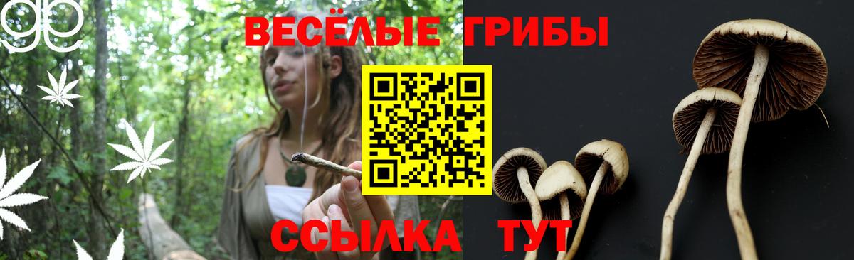 Псилоцибиновые грибы мухоморы  Вход с VPN  Рубцовск  Псилоцибиновые грибы Cubensis 